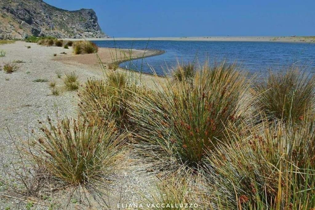 Falcon Best Beach Villa Falcone Dış mekan fotoğraf